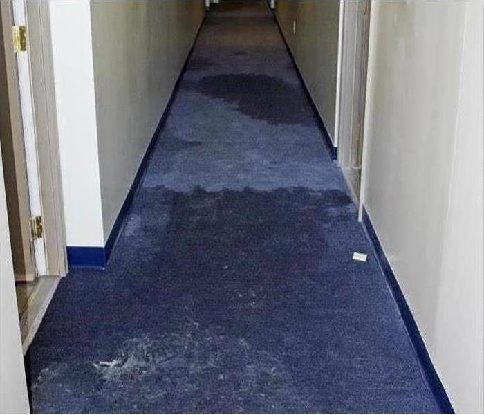 building with water damage on carpet down a hall