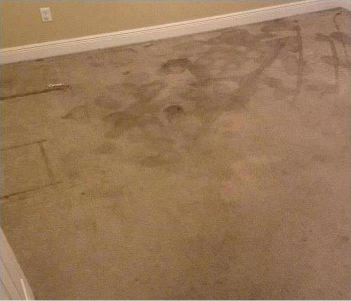 Carpet with water damage